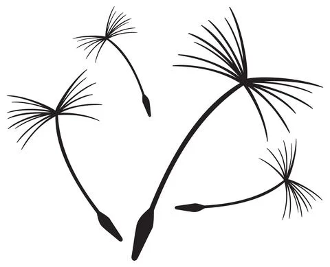 Dandelion seeds in the wind Stock Illustration