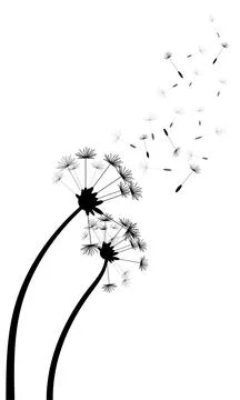 Dandelion silhouette on a white background Stock Illustration