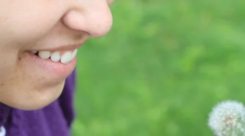 Dandelion spores Stock Footage 735113