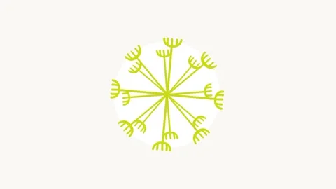 Dandelion Sunburst Wheel Stock Footage 336062252