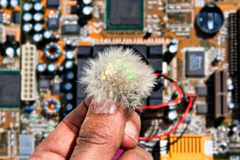 Dandelion technology Stock Photos
