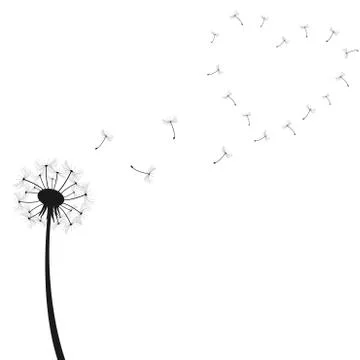 Dandelion vector illustration Stock Illustration