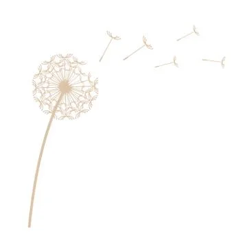 Dandelion vector illustration Stock Illustration