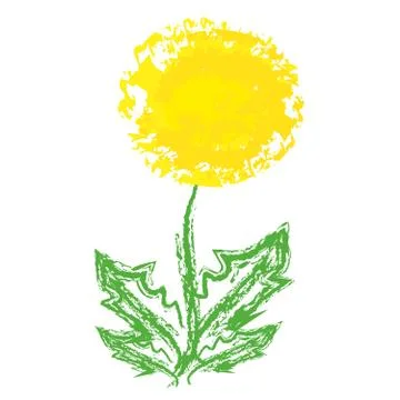 Dandelion on white background Stock Illustration