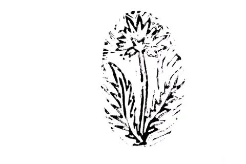Dandelion on white background Stock Illustration