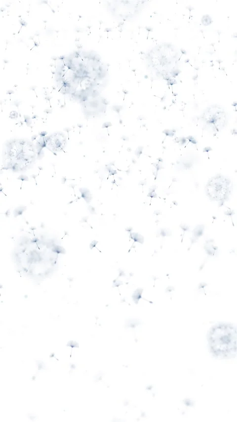 Dandelion wind blow background. Soft blue silhouette with flying dandelion buds Stock Footage 279571763