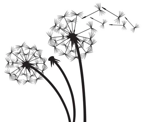 Dandelion in the wind Stock Illustration