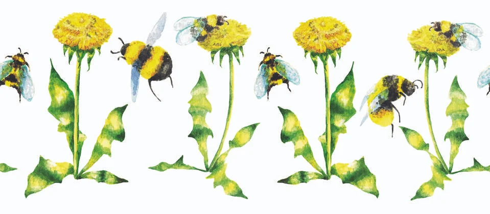 Dandelions and bumblebees, seamless pattern, watercolor Stock Illustration