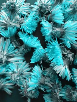 Dandelions background Stock Photos