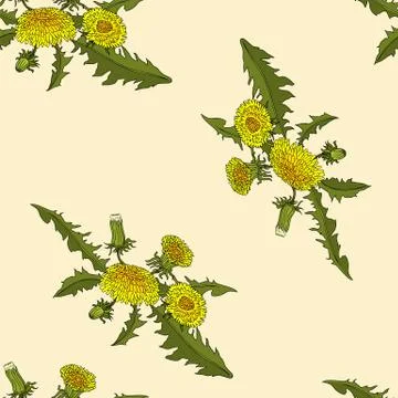 Dandelions floral seamless pattern. Vector colorful illustration Stock Illustration