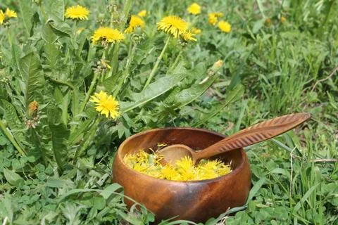 Dandelions in the grass on a wooden plate Stock Photos