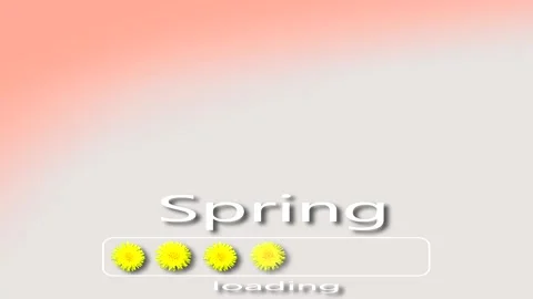 Dandelions on a gray pink background, gradient, banner. SPRING LOADING 4K Stock Footage 192010646