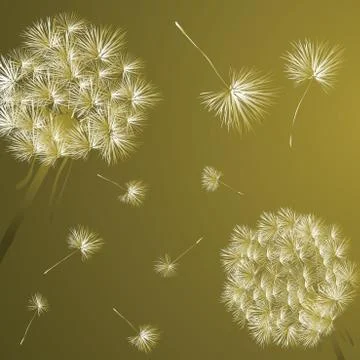 Dandelions Stock Illustration