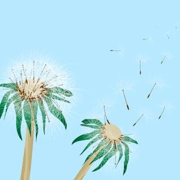 Dandelions Stock Illustration