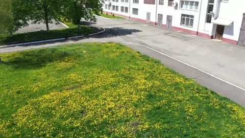 Dandelions on the lawn 360 degree Stock Footage 170761862