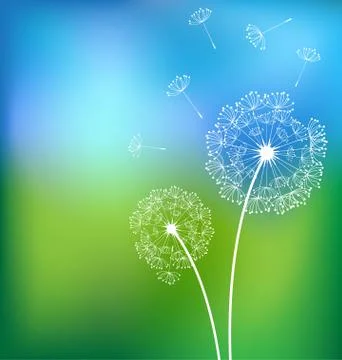 Dandelions in meadow spring vector Stock Illustration