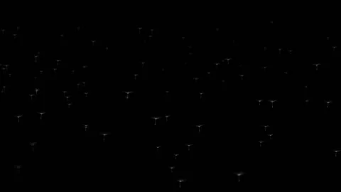 Dandelions medium vertical hd Stock Footage 104982192