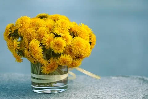 Dandelions Foto stock