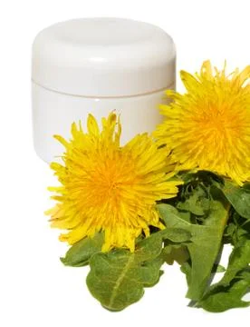 Dandelions Stock Photos