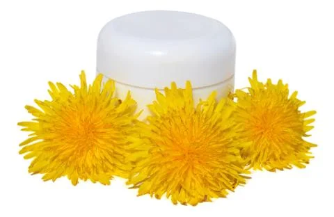 Dandelions Stock Photos