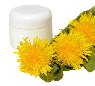 Dandelions Stock Photos