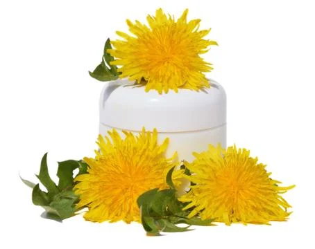 Dandelions Stock Photos