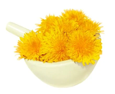 Dandelions Stock-Fotos