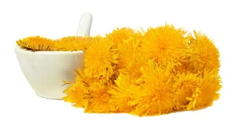 Dandelions Foto stock