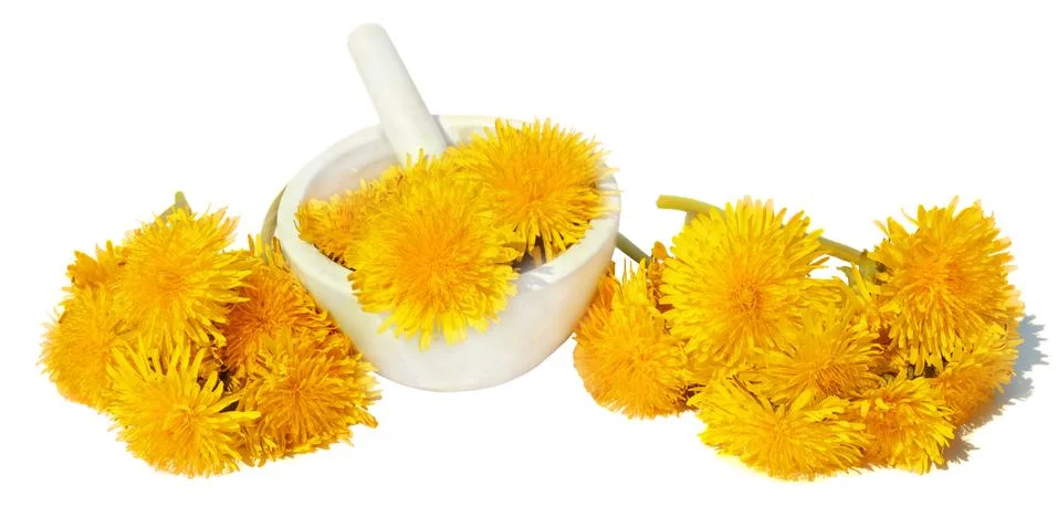 Dandelions Stock Photos