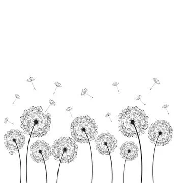 Dandelions plant vector Stock Illustration