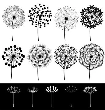Dandelions set vector Stock Illustration