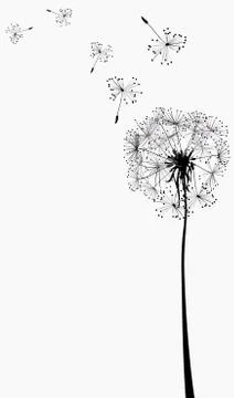 Dandelions silhouettes in the wind 스톡 일러스트