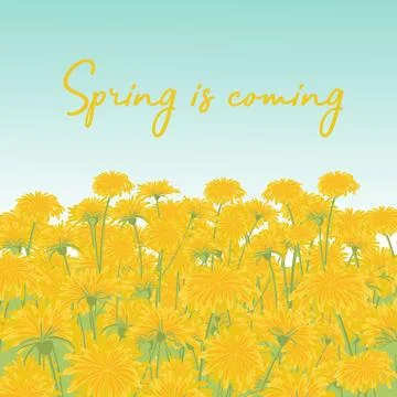 Dandelions Spring is coming Stock Illustration