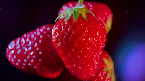 Dandong big strawberry (5) Stock Footage 202206167