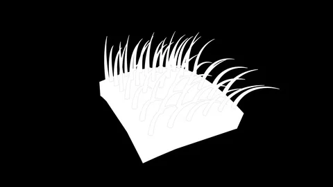 Dandruff with about(loop)Matt Stock Footage 102546887