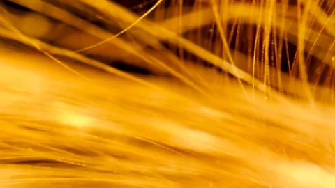 Dandruff in hair, macro, closeup Stock Footage 111894031