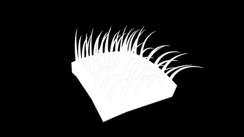 With dandruff Matt Stock Footage 102546864