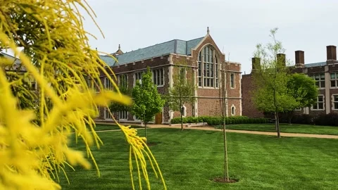 Danforth Campus at Washington University in St. Louis Stock Footage 157739108