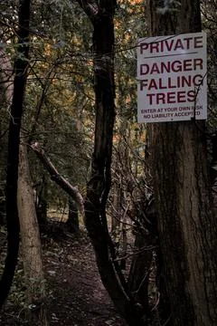 Danger Falling Trees Stock Photos