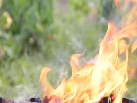 Danger, fire, campfire Stock Footage 78382254