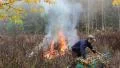 Danger of forest fire - man is burning leafs and branches near the forest HD Footage