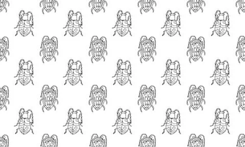 Danger Insect vector set. Web sign kit of line bugs. Beetle seamless pattern. Stock Illustration