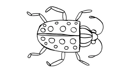 Danger Insect vector set. Web sign kit of line bugs. Beetle pictogram collect Stock Illustration
