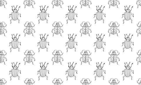 Danger Insect vector set. Web sign kit of line bugs. Beetle seamless pattern. 스톡 일러스트