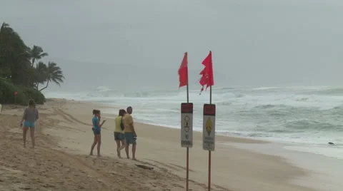 Danger Rip Currents. Stock Footage 54709438
