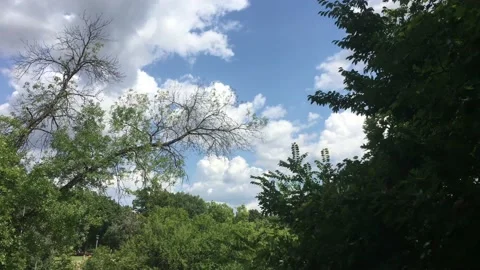 Danger Waterfalls Down to River 스톡 동영상 117139221