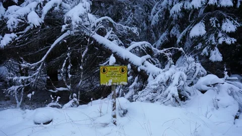Danger Zone No go territory military training site shooting range sign Sweden Video stock 145877582
