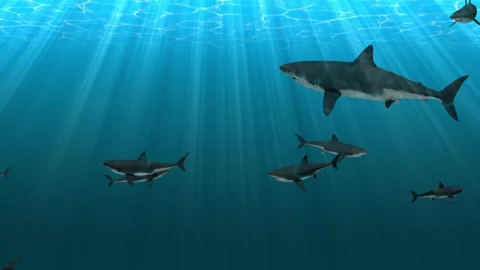 Dangerous depth Stock Footage 147481245