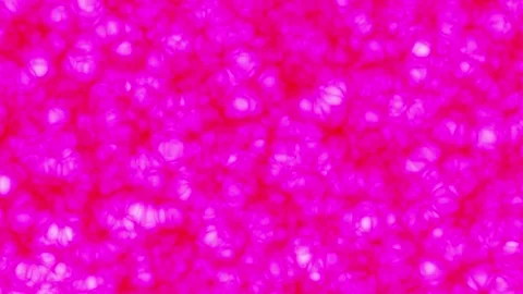 Dangerous disease infecting the tissue Stock Footage 300648970