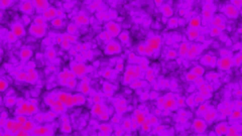 Dangerous disease infecting the tissue Stock Footage 300649066